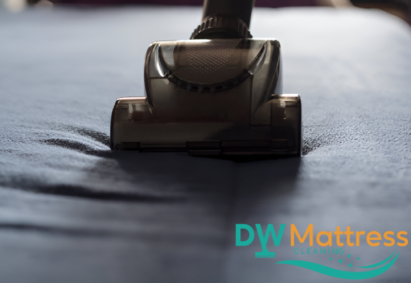 featured-image-vacuum-on-mattress-what-are-the-ways-to-prevent-dust-mites-on-your-mattress-dust-mite-cleaning-dw-mattress-cleaning-singapore