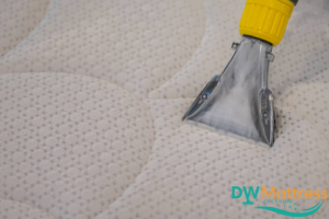hot-water-deep-extraction-how-does-professional-mattress-dust-mite-cleaning-effectively-remove-dust-mites-from-your-mattress-dust-mite-cleaning-dw-mattress-cleaning-singapore
