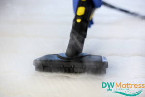steam-cleaning-how-does-professional-mattress-dust-mite-cleaning-effectively-remove-dust-mites-from-your-mattress-dust-mite-cleaning-dw-mattress-cleaning-singapore