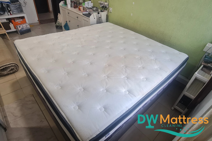 mattress-cleaning-services-dw-mattress-cleaning-singapore-condo-alexandra-3