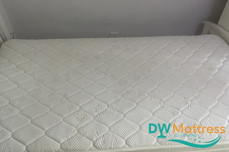 mattress-cleaning-services-dw-mattress-cleaning-singapore-hdb-sembawang